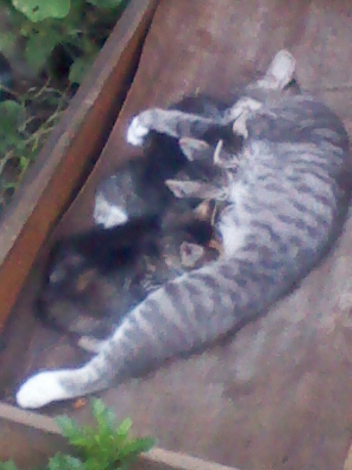 quiti Patitas ardes DÍANA Y KIANA