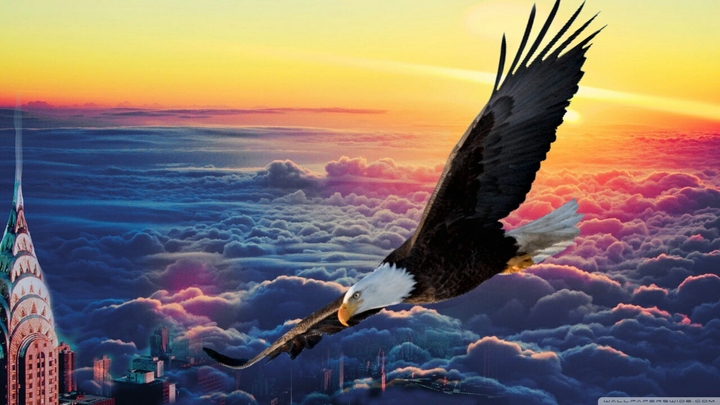 eagle
