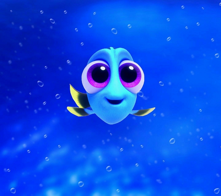 fish