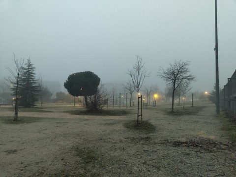sfondi evening, precipitation
