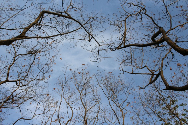 Autumn Bliss