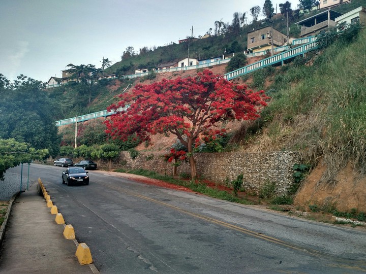 Paisagem Manhumirim MG