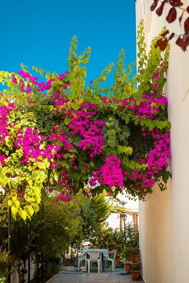 street in Greece