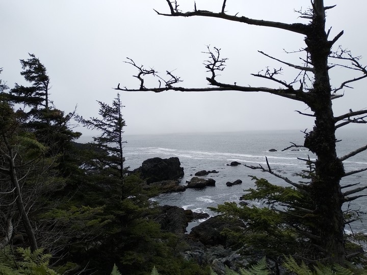 Vancouver island