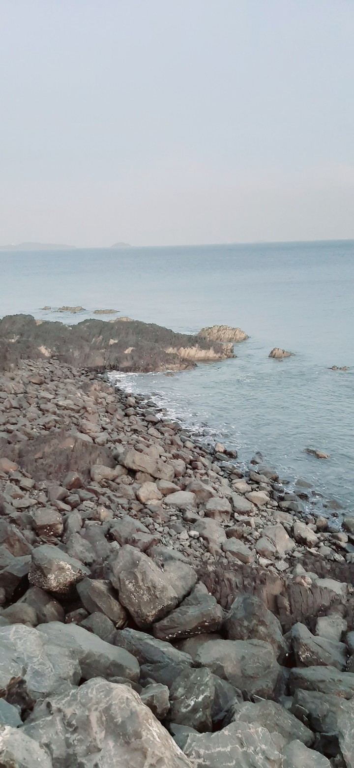 vacamonte