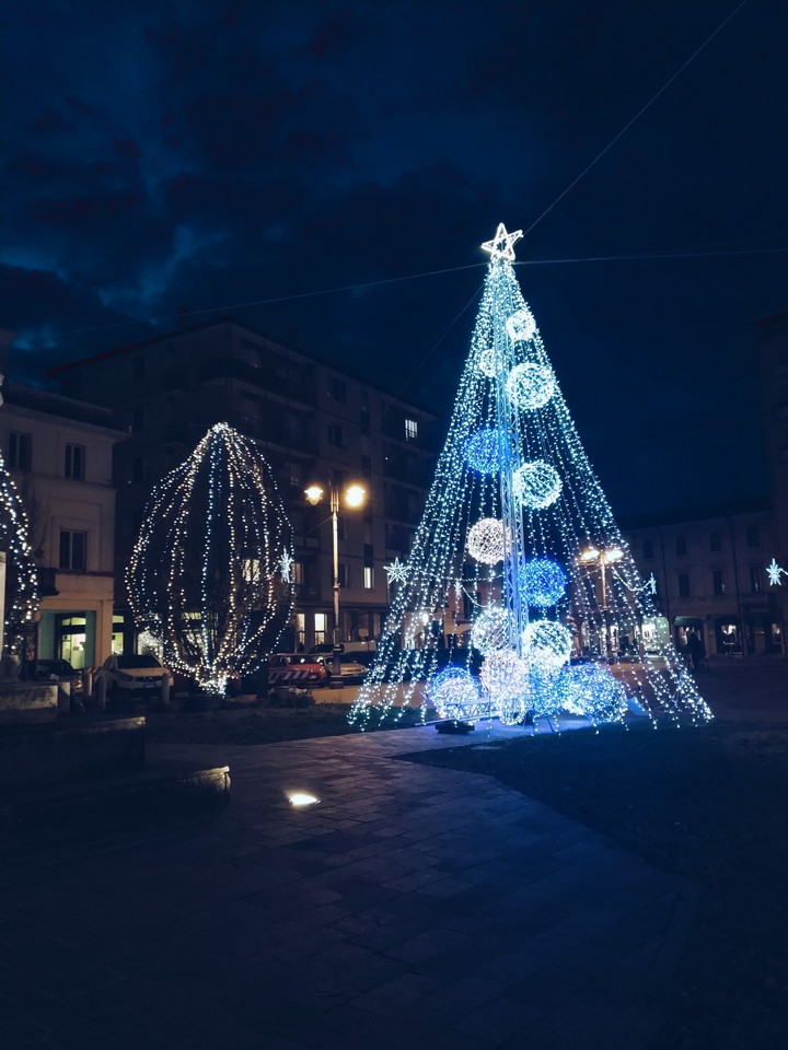 piazzale con alberi di Natale