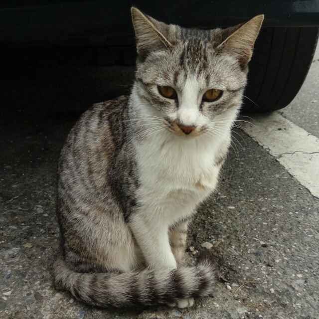 一眼之緣