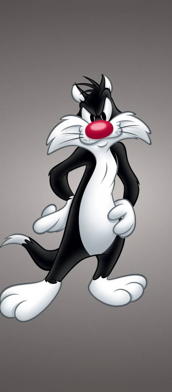 Sylvester