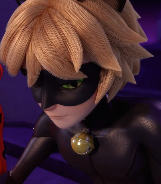 cat noir