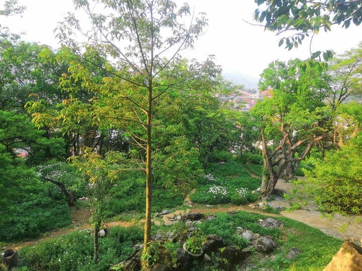 SAPA PARK