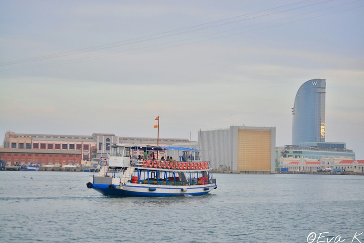 Boat trips