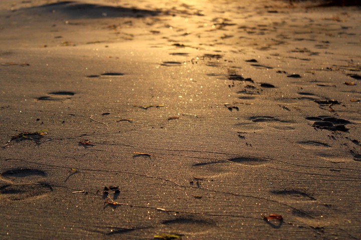 Sand