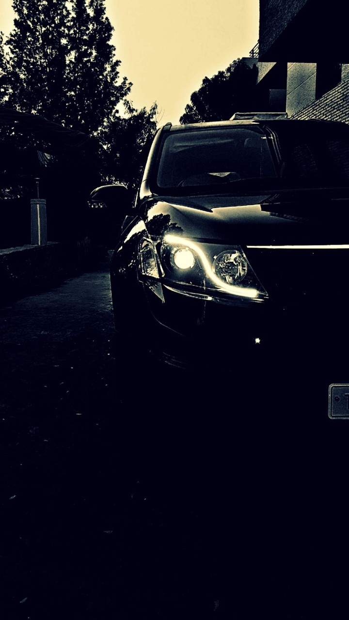 Black Beauty