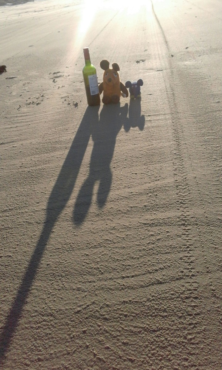 beachparty