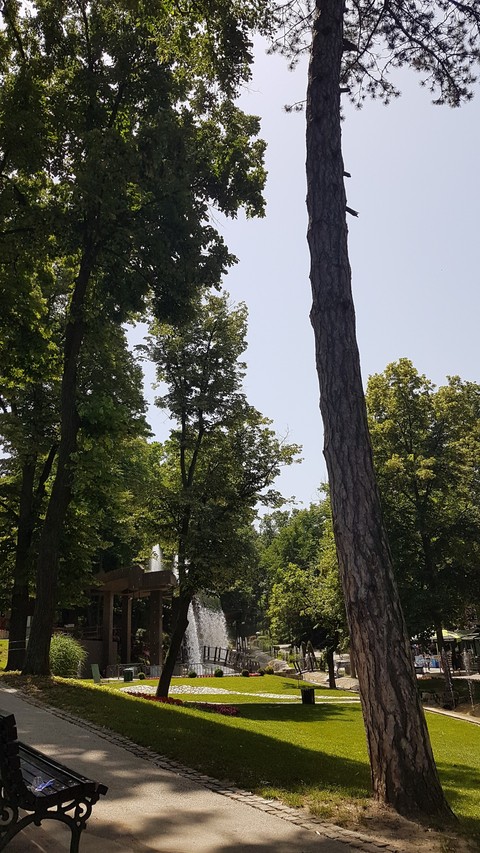 park