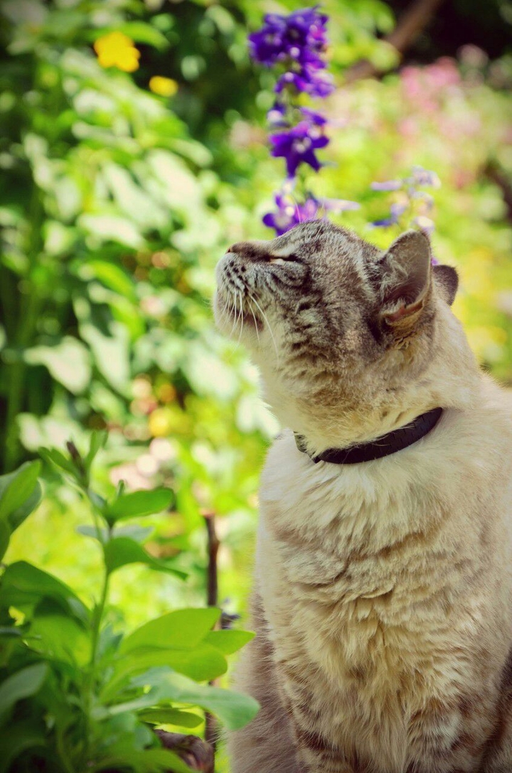 Connected to nature