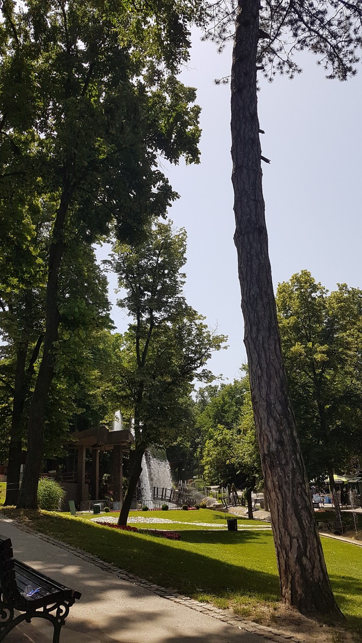 park