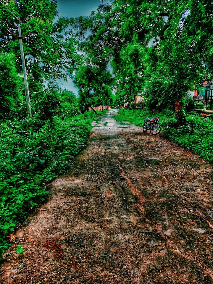 Village street