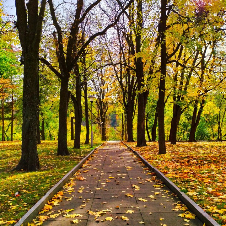 Autumn ?