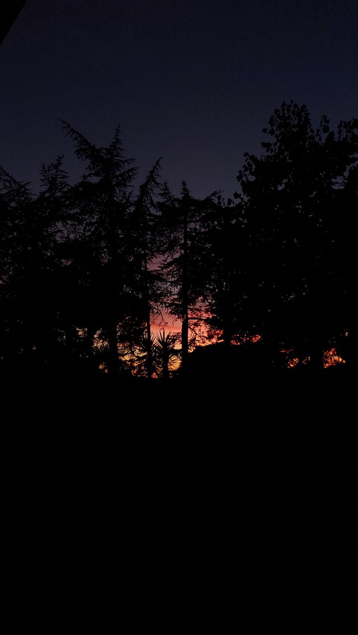ORANGE SUNSET