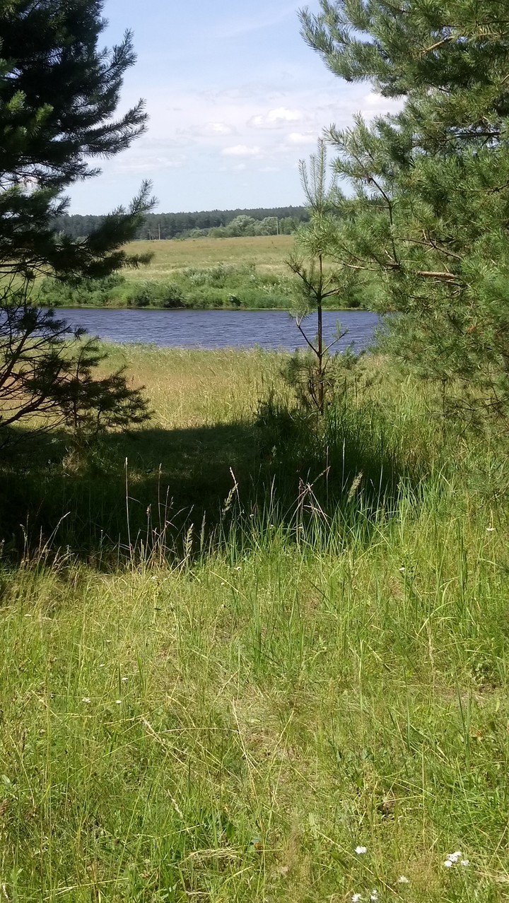 Тверца