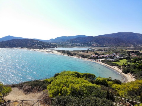 mare