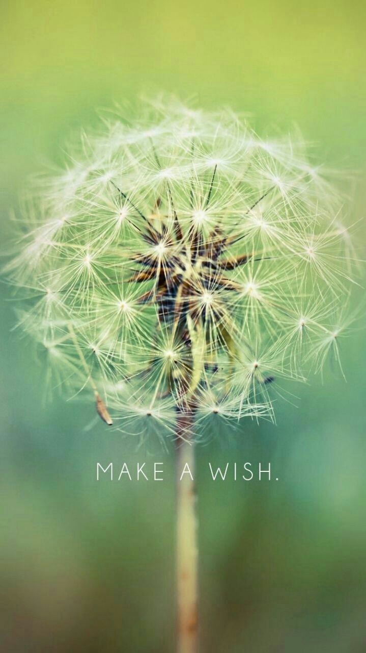 wish