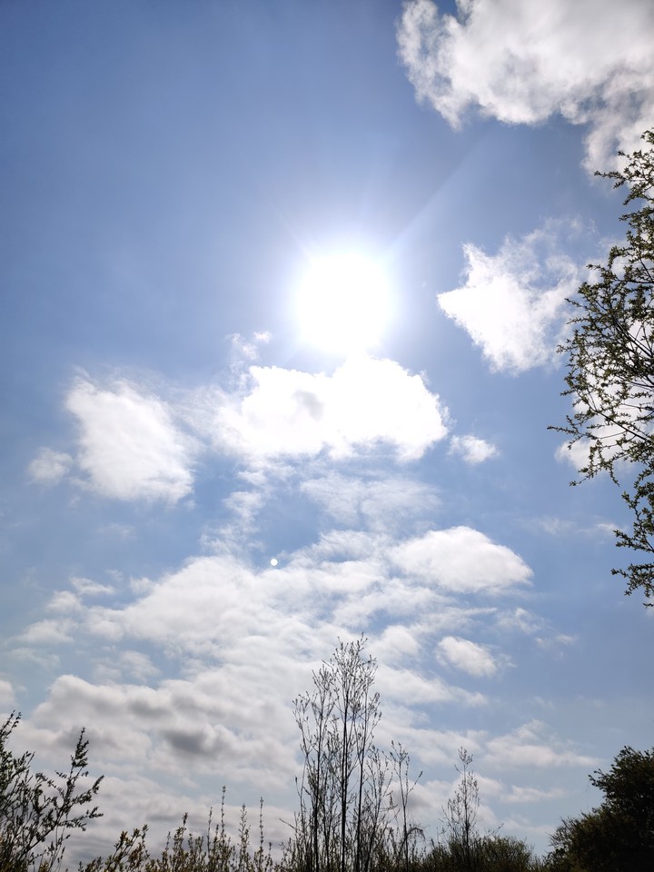 Sun ?
