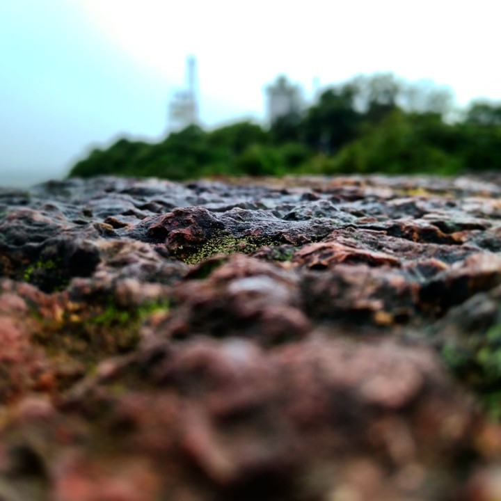 walking