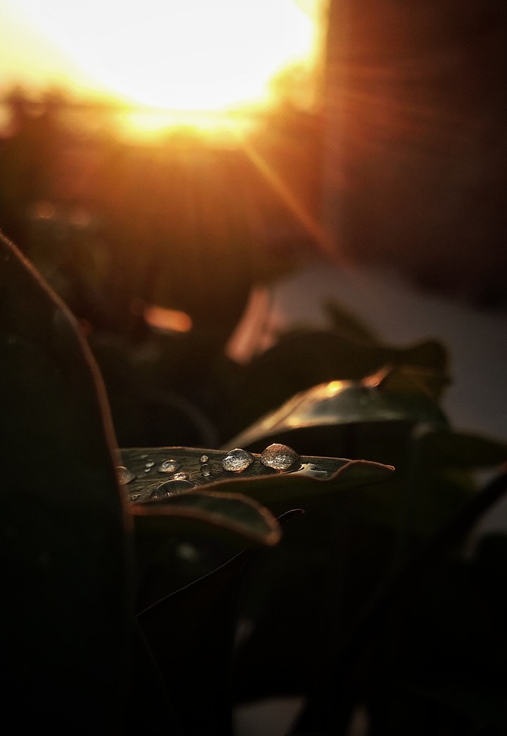 Raindrops And Sunshine