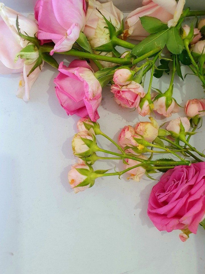flowers