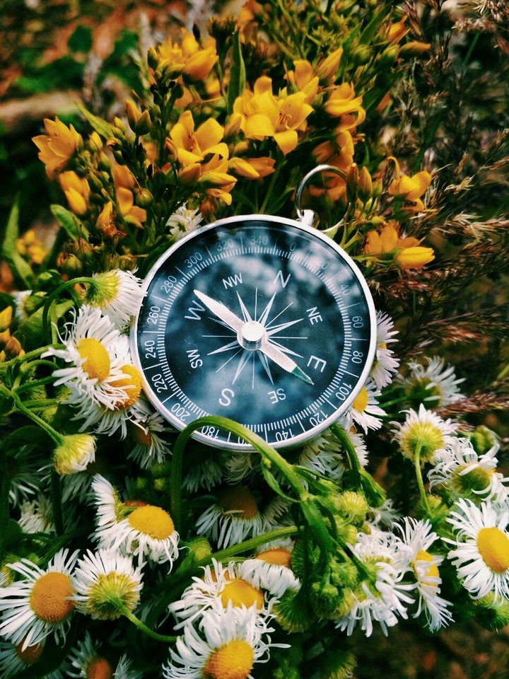 compass 360 days in my life