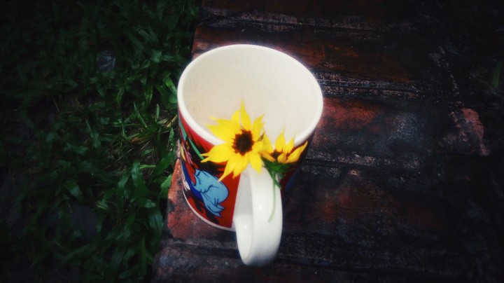 Teapots with beauty