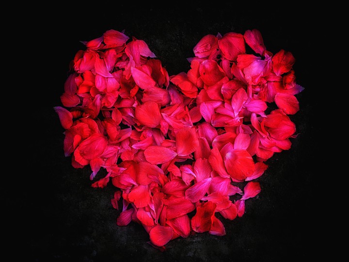 Heart Rose petals
