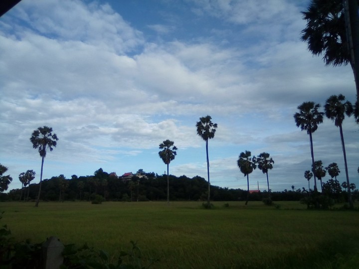 ร้าน