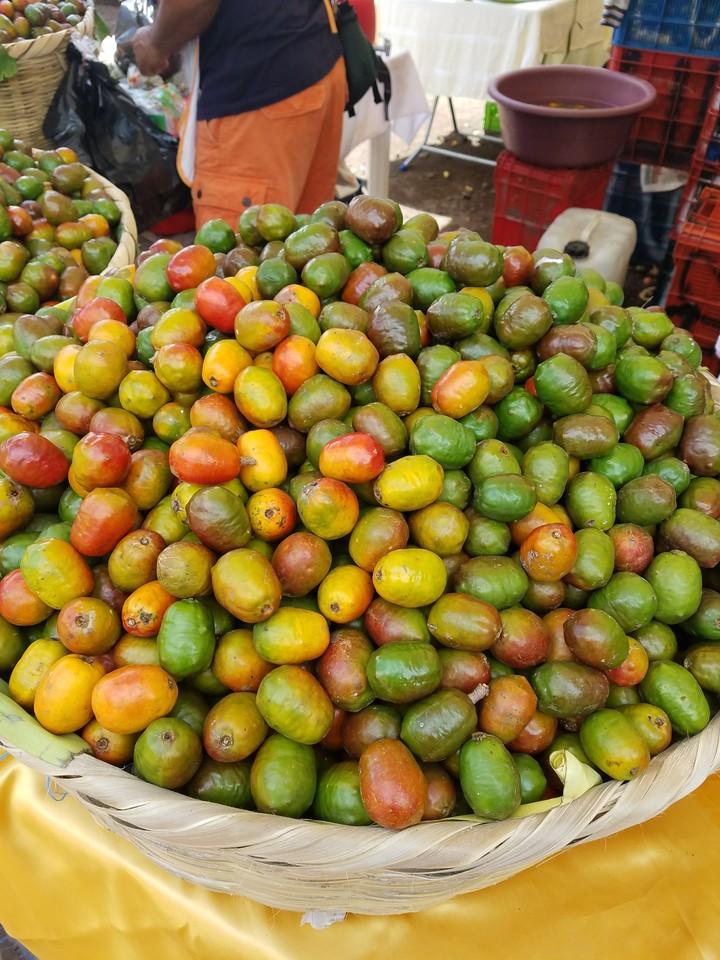 festival del jocote