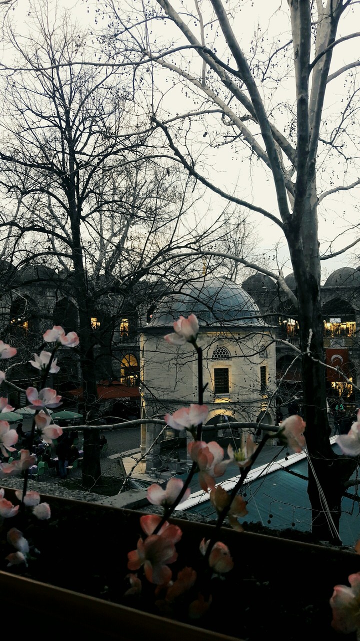 Bursa/kozahan