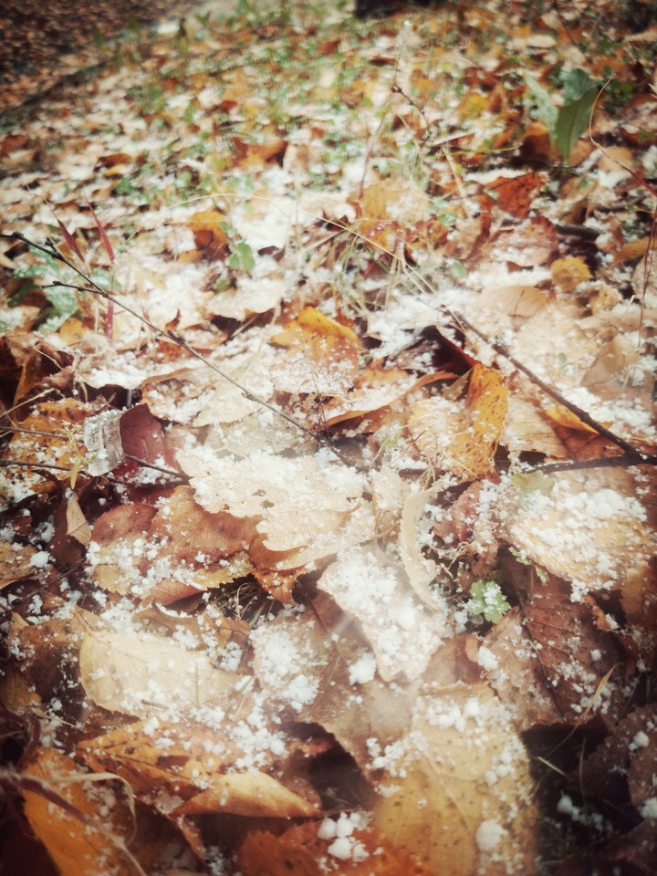 snow
