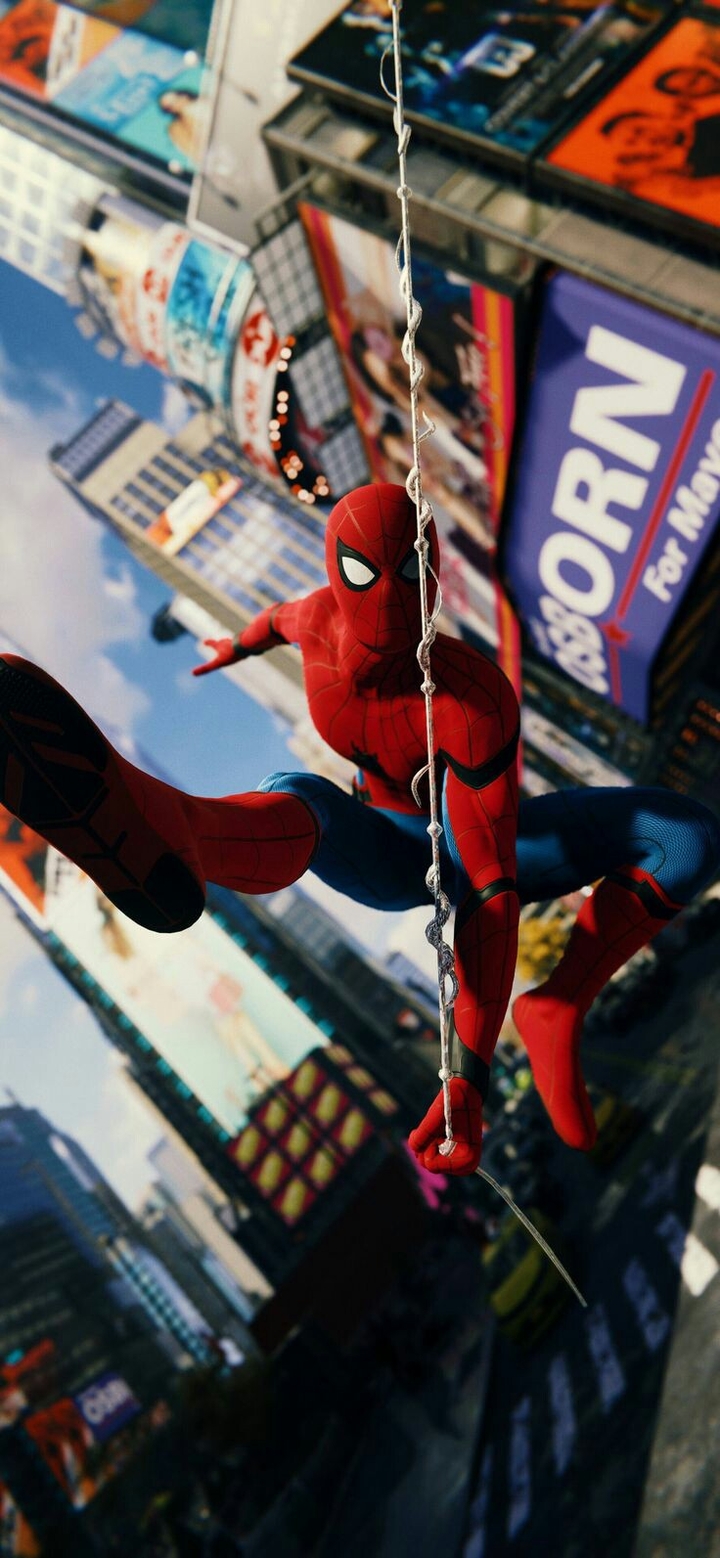 spider