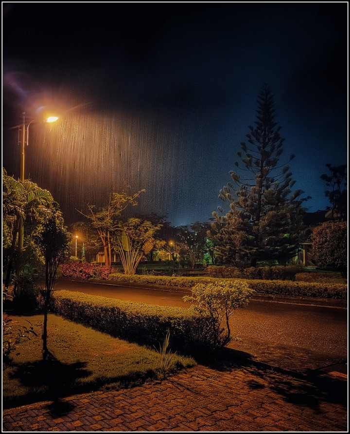 Rains in highlight.. Under the streetlight