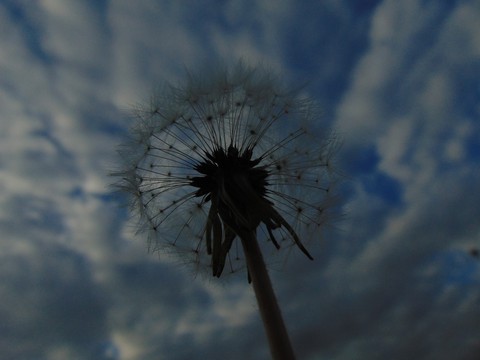 sky