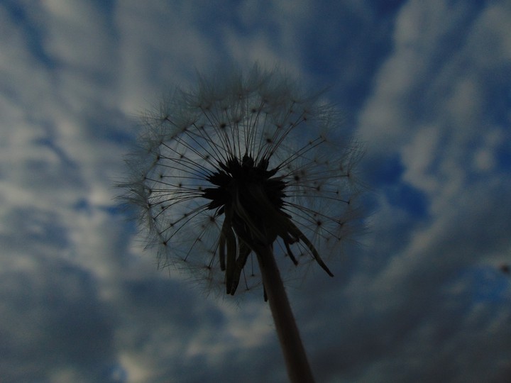 sky