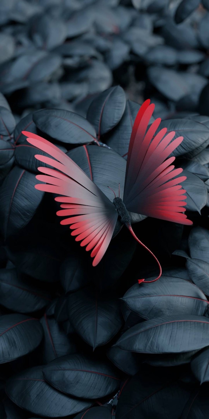 butterfly