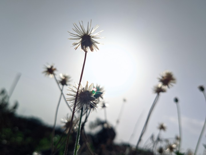 Nature