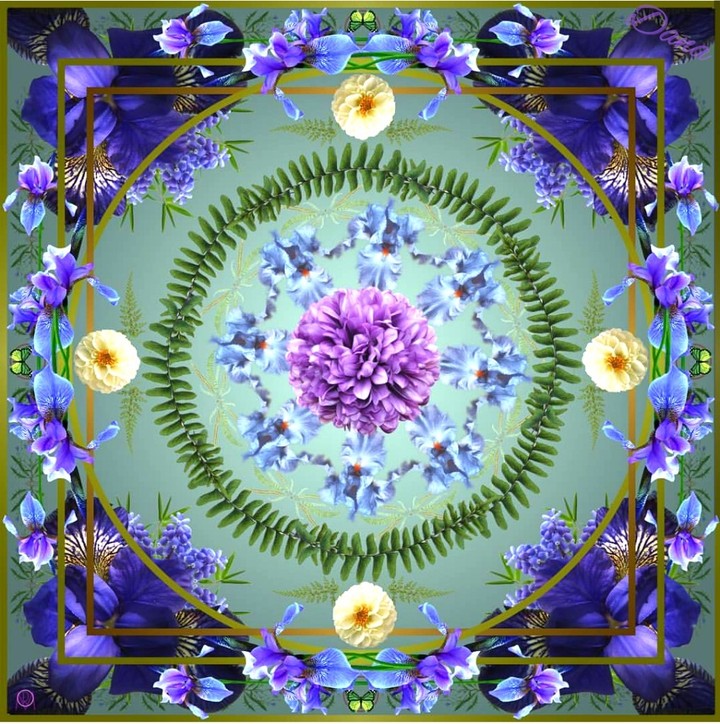 flowers colage