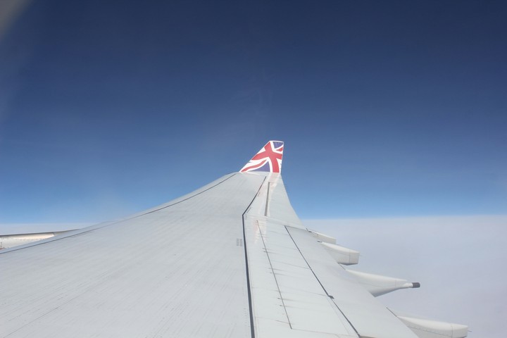 the wing