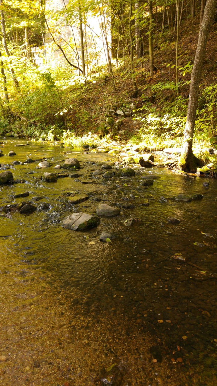 River Błędzianka under the bridge in Stańczyki
