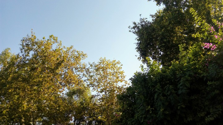 Let the sunshine