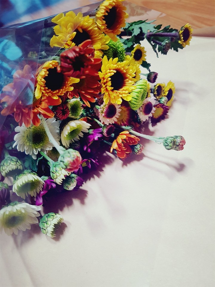 chrysanthemum flower