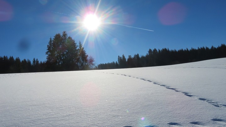 sunshine in the winter